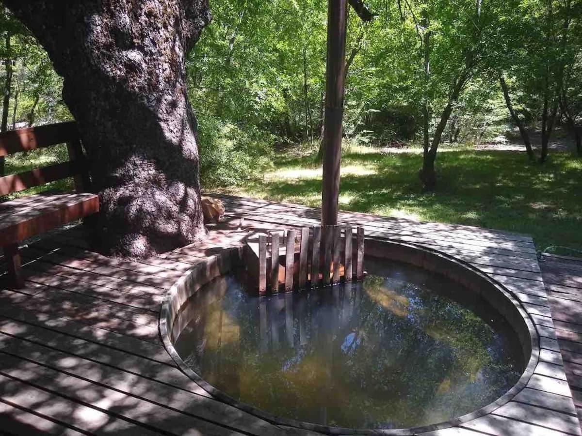 Agradable Casa Cerca De Las Termas De Chillan Las Trancas Buitenkant foto